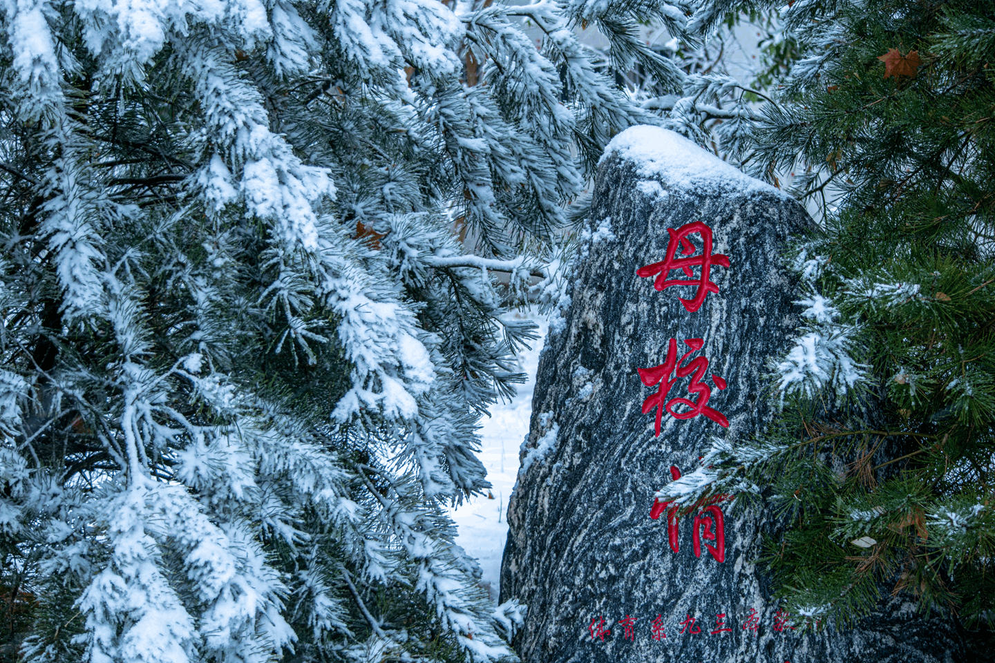梅高美游戏app下载成为欧洲杯亚洲区